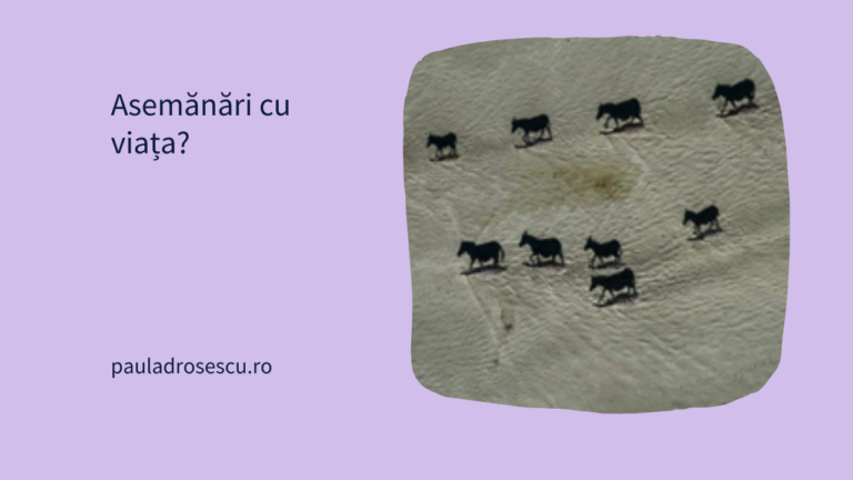 Asemănări cu viața?